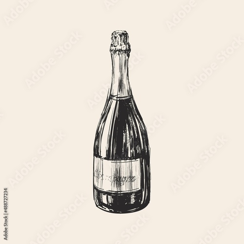 Champagne Bottle Hand drawn Illustration Sketch Vector