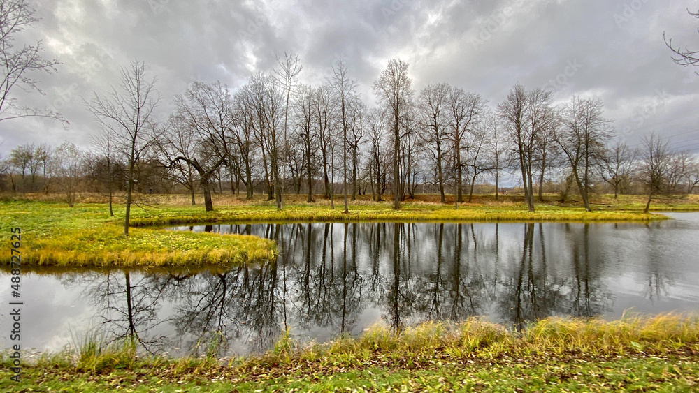 A pond and tree crowns without foliage in an autumn landscape, small islands, reflections of tree branches in water, green grass and yellow leaves on the ground.