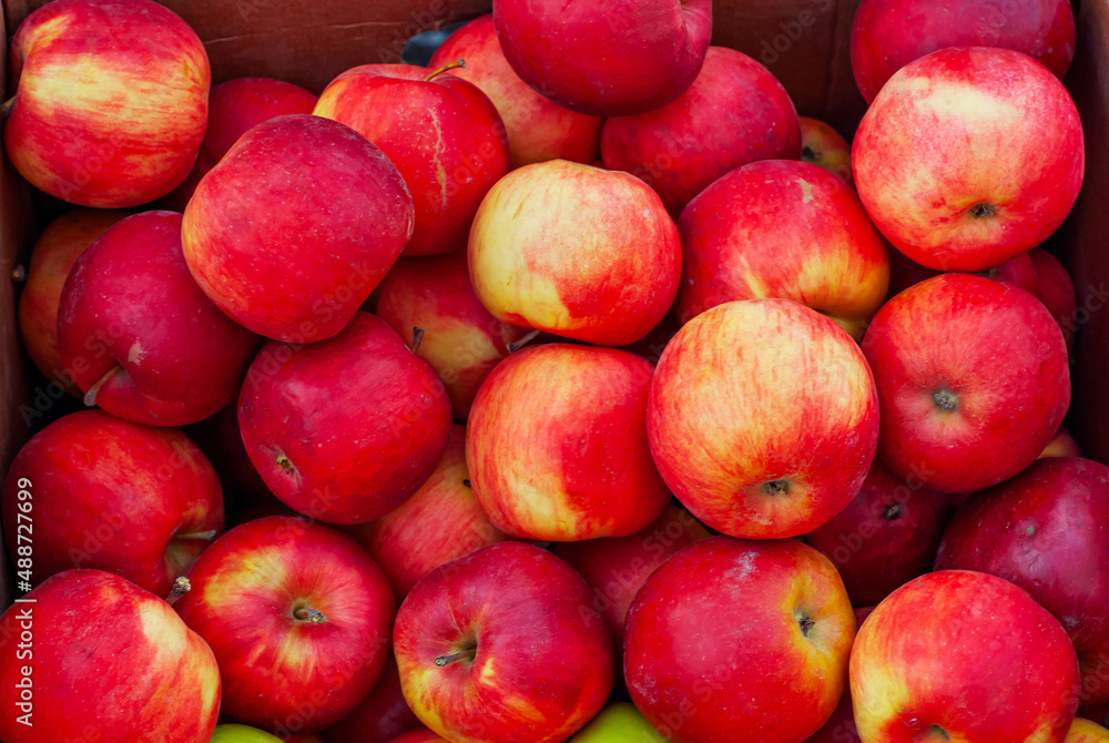 Lots of red and yellow apples in a box. Texture of round apples close up. Sale of fruit at the market and supermarket. Lots of red and yellow apples in a box. Texture of round apples close up. Sale of fruit at the market and supermarket.