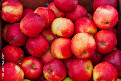 Wallpaper Mural Lots of red and yellow apples in a box. Texture of round apples close up. Sale of fruit at the market and supermarket. Torontodigital.ca