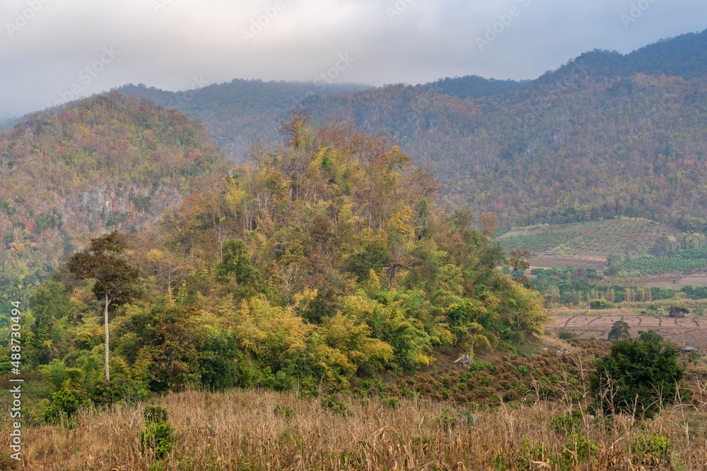Beautiful tropical mountain landscape in autumn colors under a cloudy sky in scenic agricultural valley, Chiang Dao countryside, Chiang Mai, Thailand