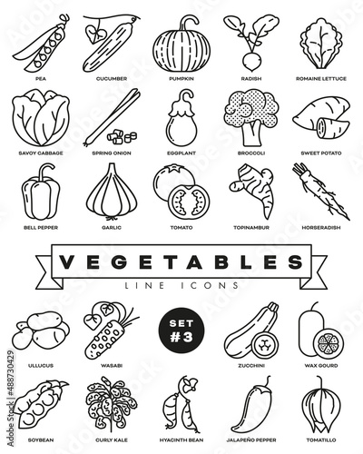 Variety of vegetables line icons collection, set 3 of 3