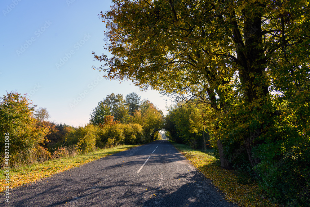 Asphalt road in autumn landscape.