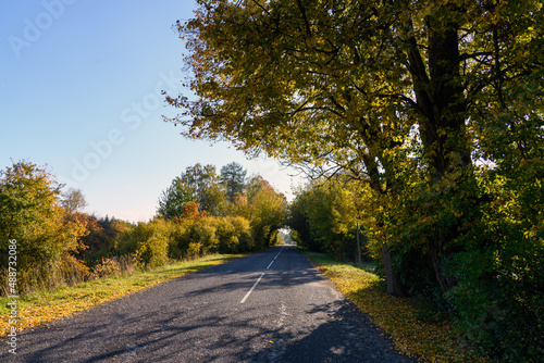 Asphalt road in autumn landscape.