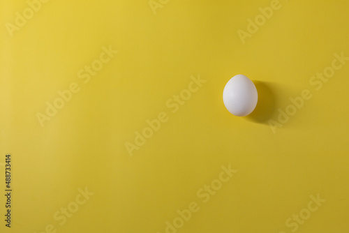 A white chicken egg lies on a yellow background on the right