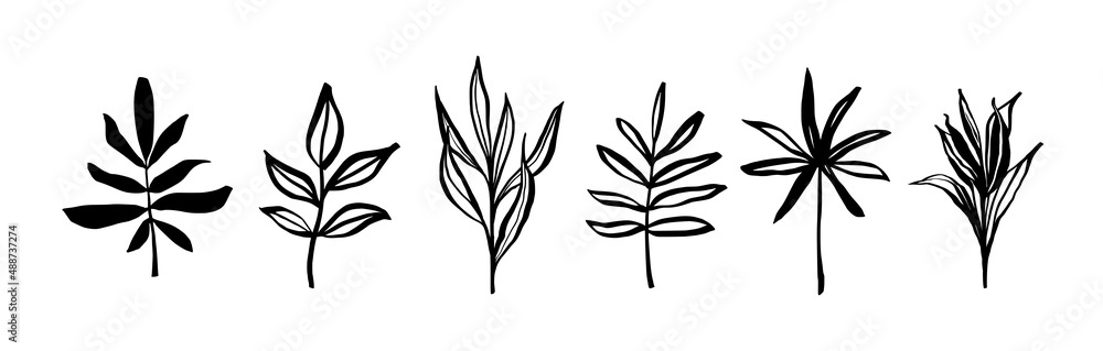 Set of ink botanical elements. Sketchy leaves and branches drawing. Isolated. Set of ink botanical elements. Sketchy leaves and branches drawing. Isolated.