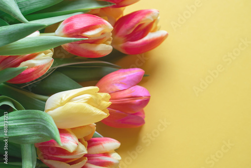 Fototapeta Naklejka Na Ścianę i Meble -  yellow and red tulips on a yellow background