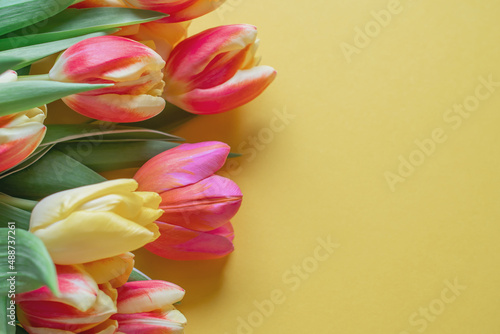 Fototapeta Naklejka Na Ścianę i Meble -  yellow and red tulips on a yellow background