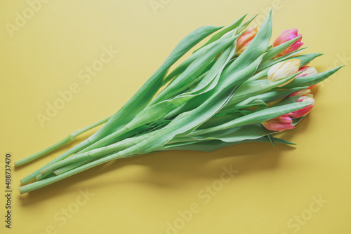 yellow and red tulips on a yellow background