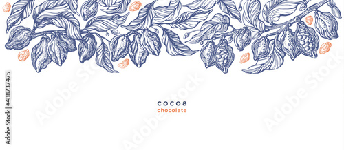 Cocoa background Vector chocolate Art illustration
