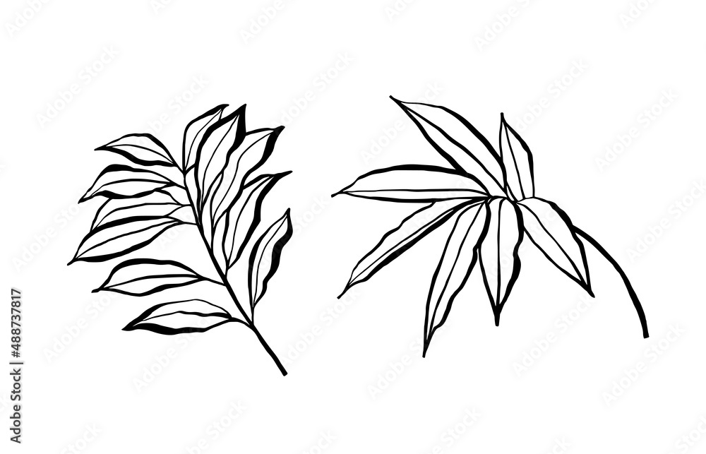 Obraz premium Ink botanical elements. Sketchy leaves drawing. Isolated on white background.