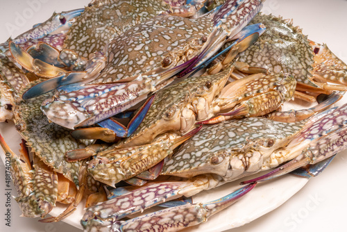 Fresh seafood blue crab on wooden background ready to cook. 