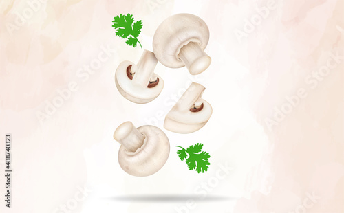 Fresh mushrooms vegetable vector  illustration with mushroom slices