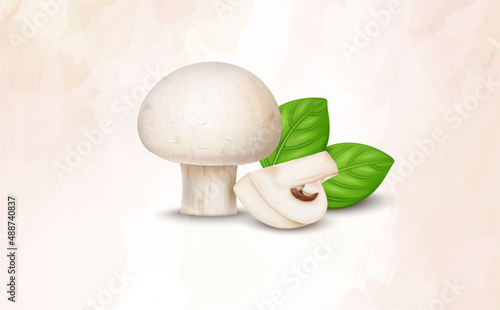 Fresh mushroom vector illustration with vegetable slices and basil leaves