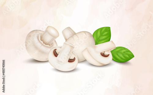 Mushroom vegetable slices and pieces vector illustration with basil leaves
