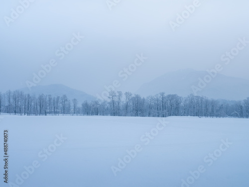 吹雪の雪原に佇む森、遠くにはもつこりした 山々が重なり、空も山も一面灰色で統一された冬の風景。 © 義一田中