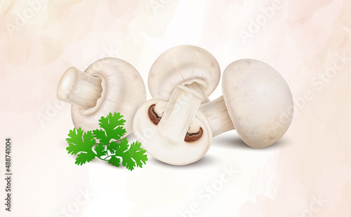 Fresh edible champignon mushrooms vegetable with coriander leaves- Vector illustration