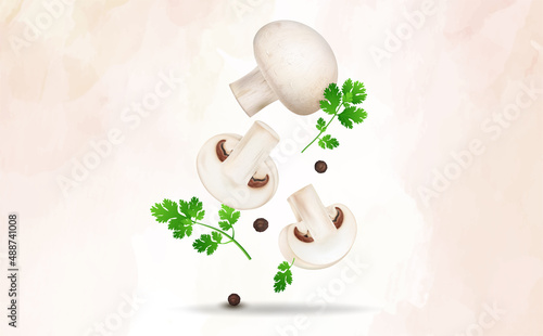 Mushroom vegetable with mushroom slices vector illustration with coriander leaves