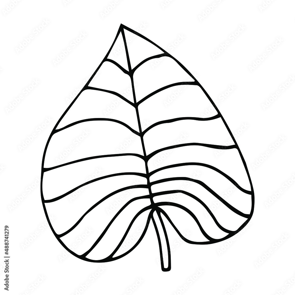 Tropical palm leave in sketch style, isolated vector illustration. Leave of palm tree in linear doodle style. Botanical minimalist print of exotic leave, sketch design. Tropical palm leave in sketch style, isolated vector illustration. Leave of palm tree in linear doodle style. Botanical minimalist print of exotic leave, sketch design.