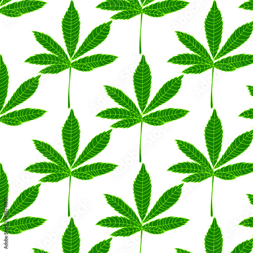 Cannabis leaves seamless pattern, background. Vector illustration in green colors.