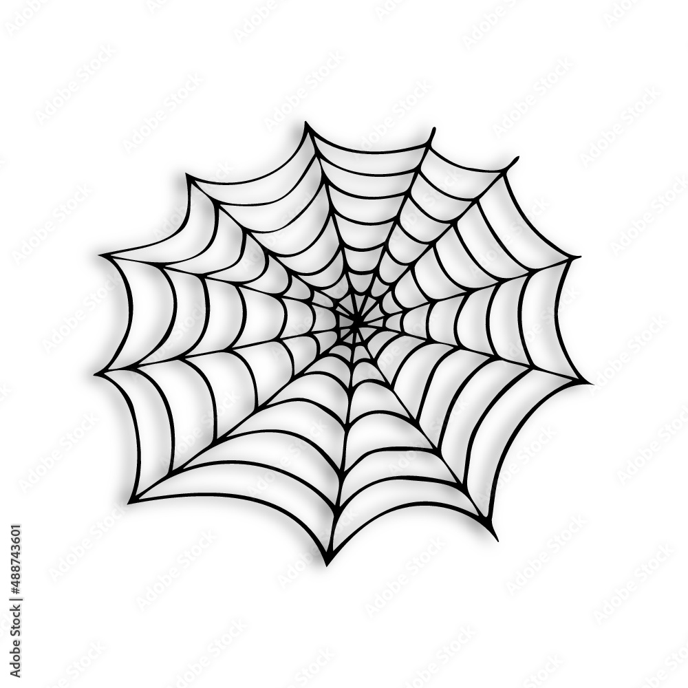 Fototapeta premium spiderweb