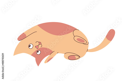 Cute playing cat character, cartoon style, vector illustration