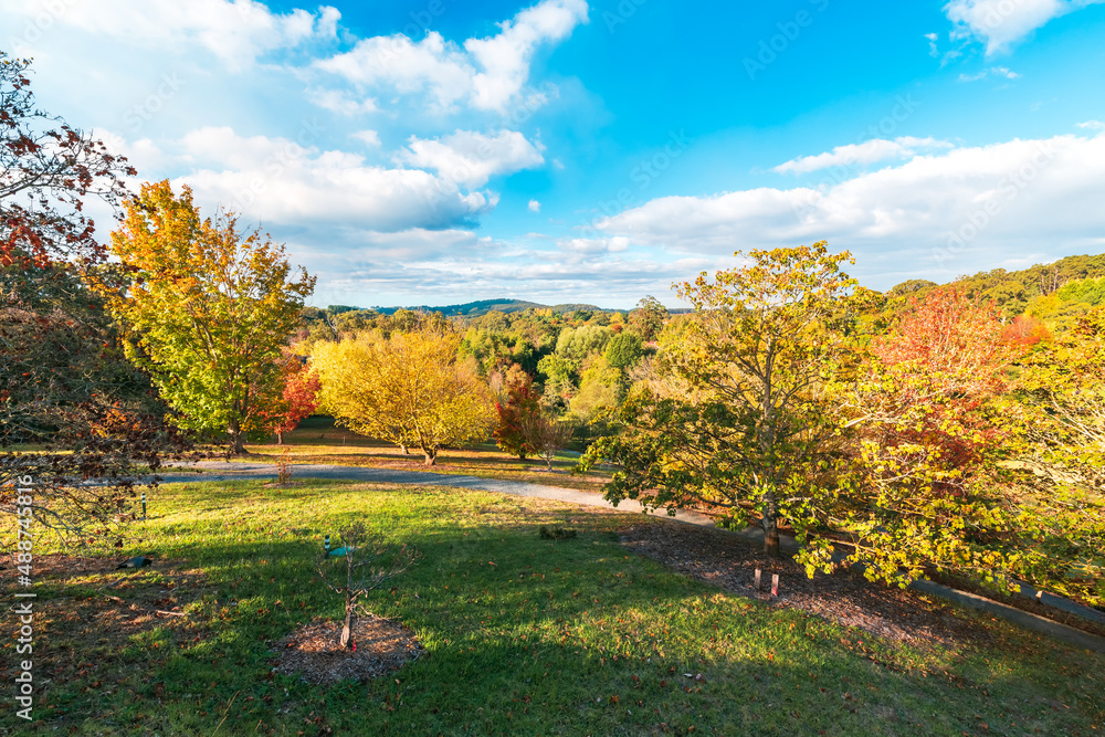 Walking trail in autumn colours across the Mount Lofty park, Adelaide Hills, South Australia