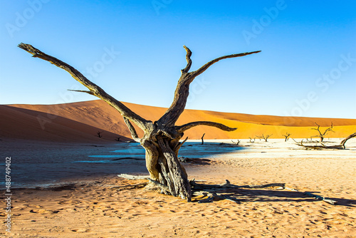 The Namib-Naukluft Park.