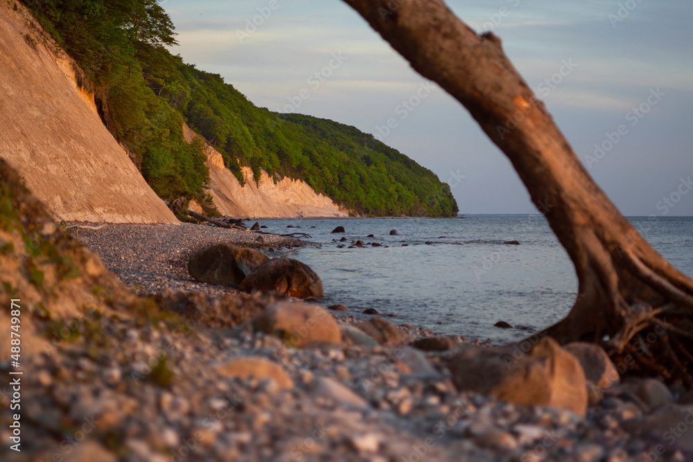 Wyspa Rugia, Jasmundzki Park Narodowy, Jasmund, klif, kamienista plaża, powalone drzewo