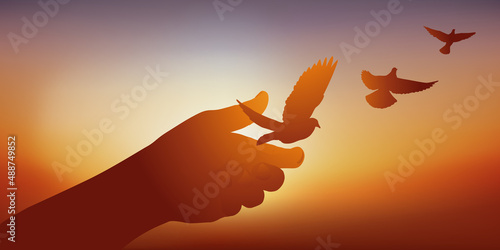 Concept de la paix et de la liberté avec le symbole d’une main qui libère des colombes qui s’envole au soleil couchant.