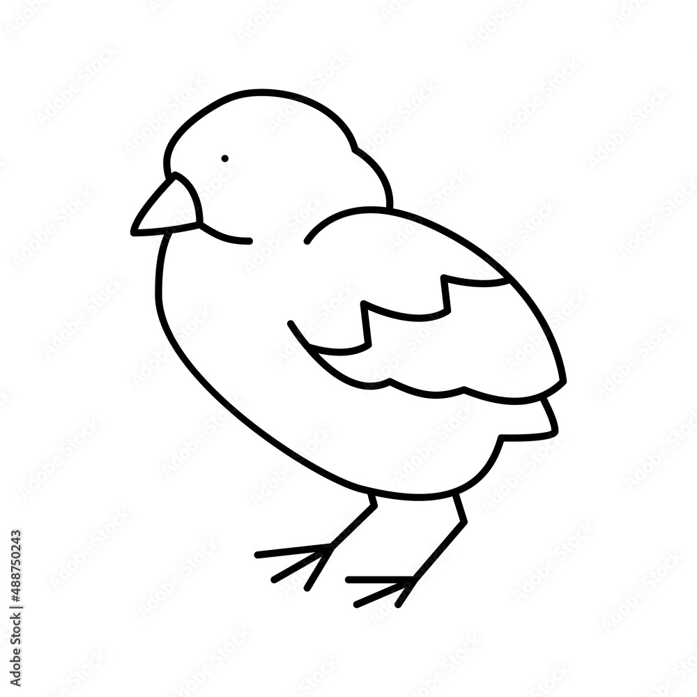 chick bird line icon vector illustration chick bird line icon vector illustration