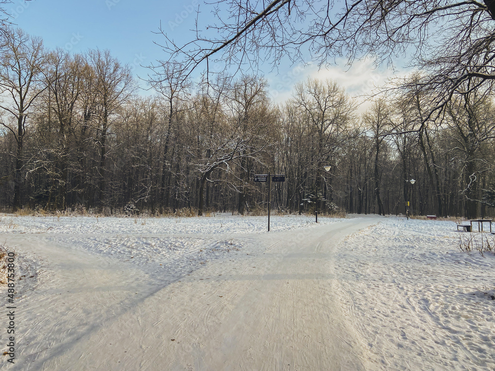 Winter sunset in snow covered park. Season and cold weather concept Winter sunset in snow covered park. Season and cold weather concept