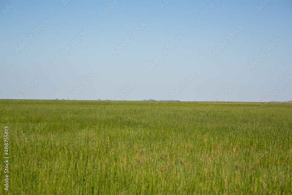 Paisaje de la llanura