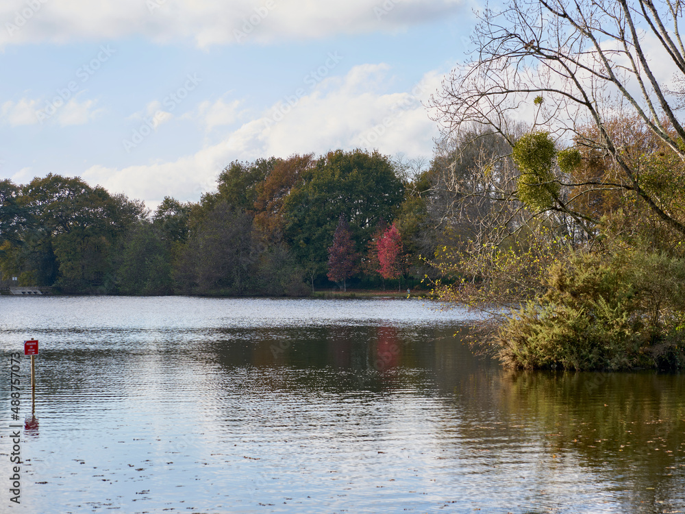 Fototapeta premium autumn landscape