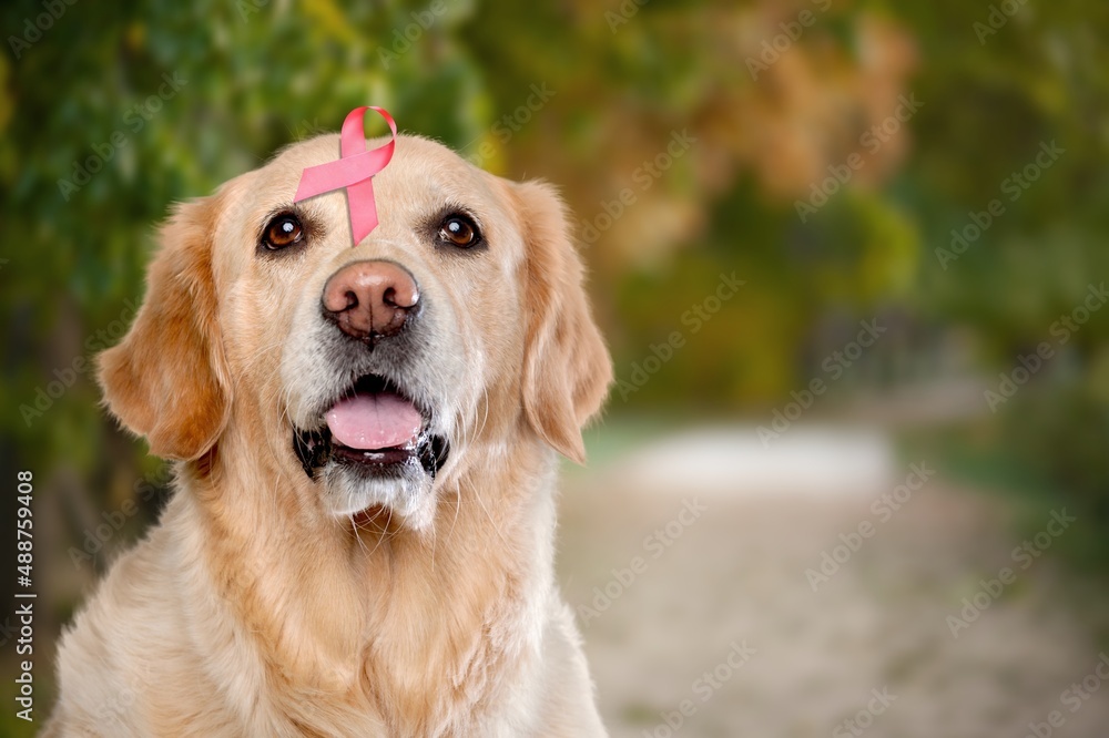 Happy dog with pink ribbon for prevent breast cancer day Happy dog with pink ribbon for prevent breast cancer day