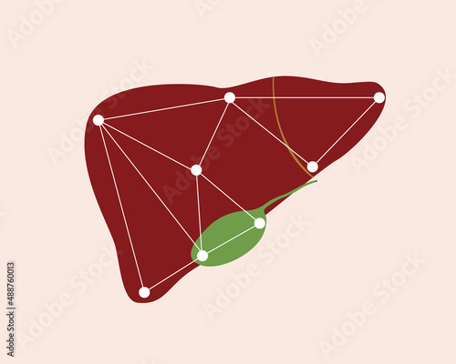 Liver isolated, technological flat vector stock illustration, modern study of human organ