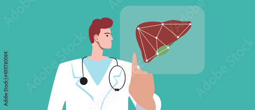 Gastroenterologist or therapist with liver or gallbladder, flat vector stock illustration with modern technological examination