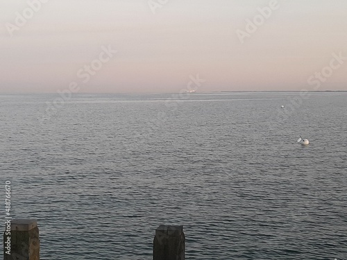 Meer Strand Fauna Ostsee