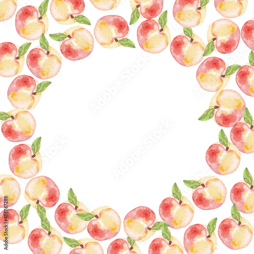 round peaches frame. juicy pink fruit illustration