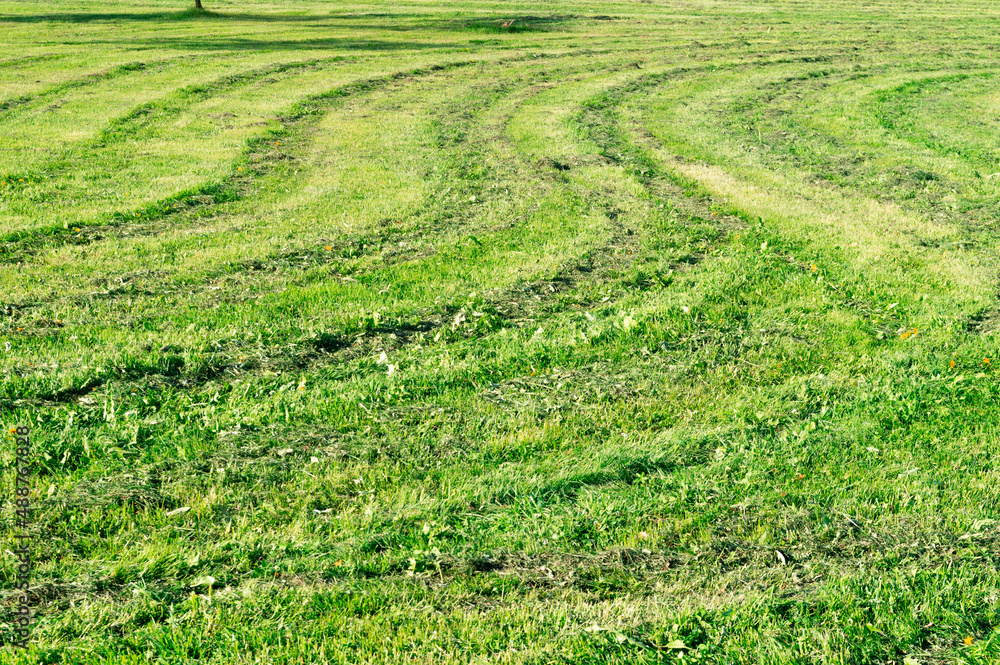 winding tracks left with a lawnmower on the grass