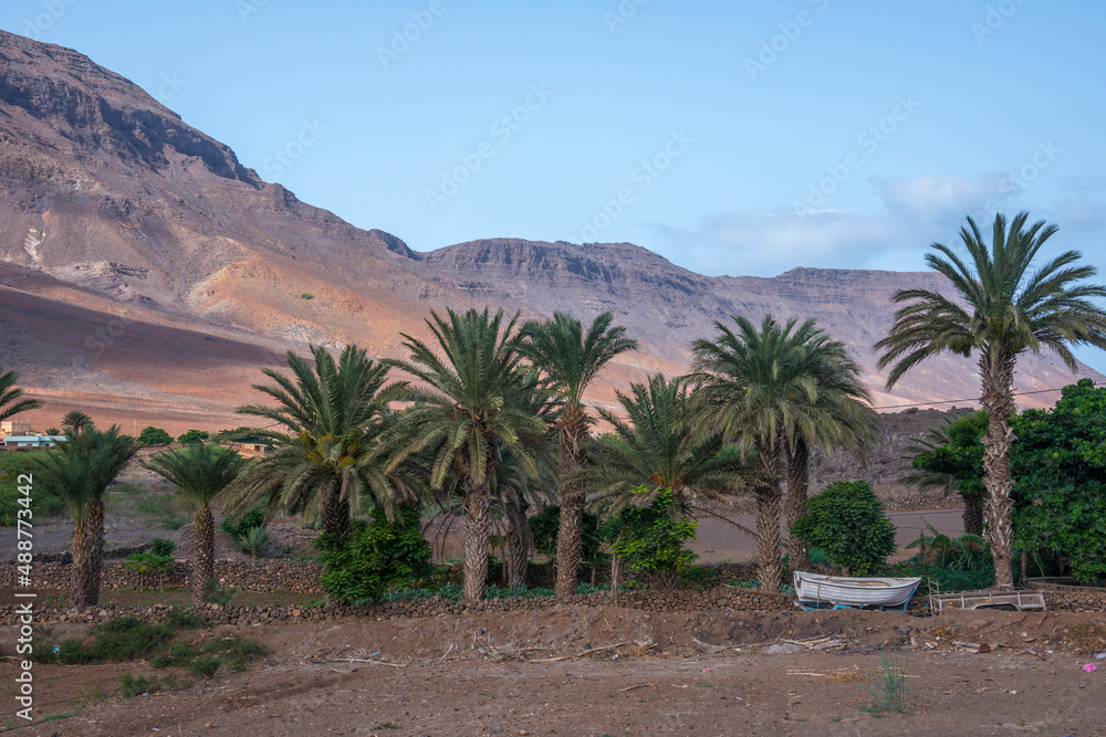 Palmeral en la zona del Madeiral en la isla de San Vicente de Cabo Verde Palmeral en la zona del Madeiral en la isla de San Vicente de Cabo Verde