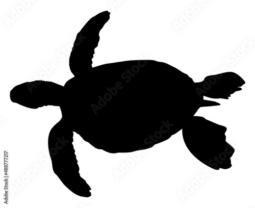 silhouette of a turtle vector