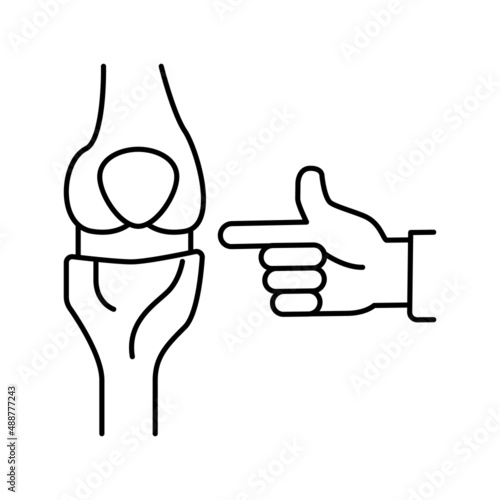 knee-joint radiology line icon vector illustration flat