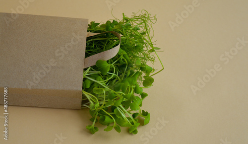 Craft shopping bag with micro greenery on a beige background. Spring agriculture and planting concept. Natural organic bio food.