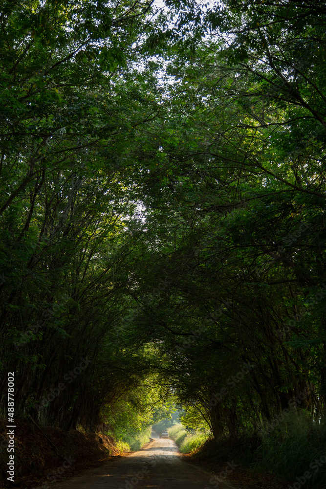 Monsenhor Paulo, Minas Gerais, Brasil: estrada entre Varginha e Monsenhor Paulo