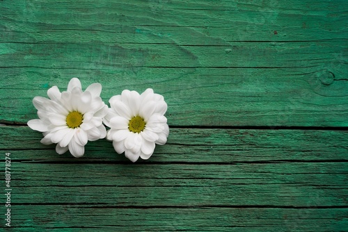 white flowers on wooden background