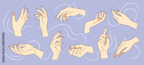 Colorful sketches collection of woman's hands with pink nails on a blue background. Image for a beauty salon. Vintage illustration, hand-drawn, vector. Fashion illustration. Hands gestures.