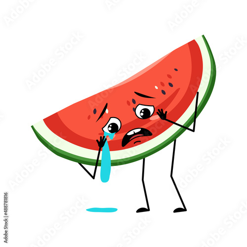 Watermelon character with crying and tears emotion, sad face, depressive eyes. Person with melancholy expression, fruit emoticon. Vector flat illustration
