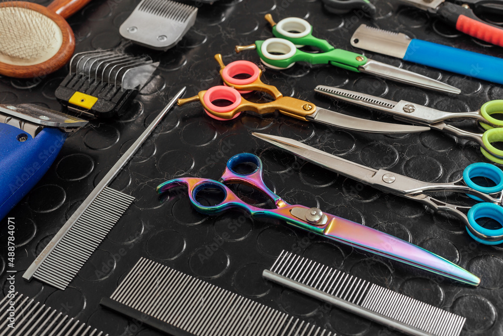 Fototapeta premium Acessories for the grooming and nail clipper for cats and dogs