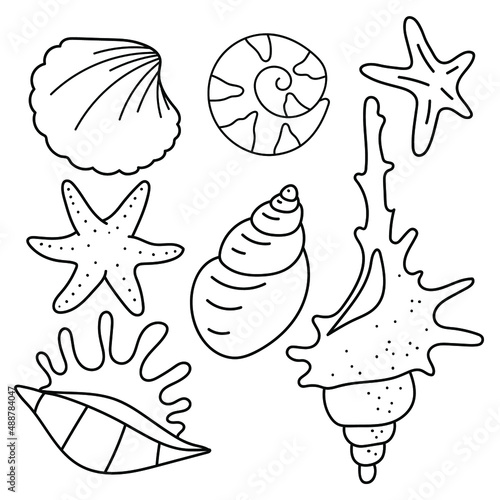 Shells. Set with starfish and shells. Coloring. Coloring book for children. Summer coloring.